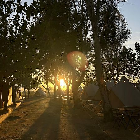 Camping Delta Natura La Tancada Amposta Exterior photo