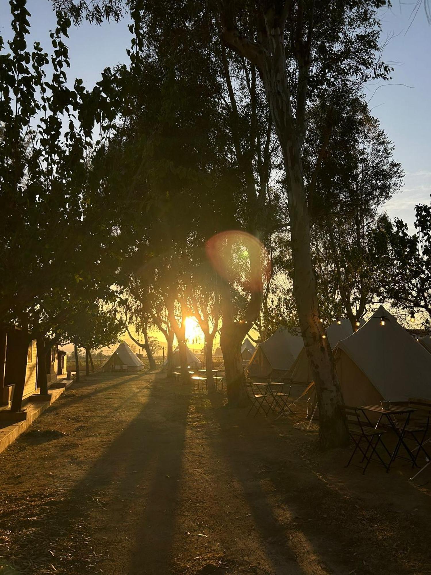 Camping Delta Natura La Tancada Amposta Exterior photo